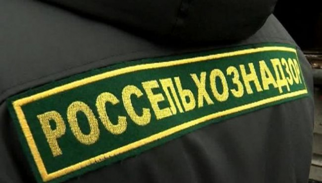 Арендатора земельных участков в Рузском округе оштрафовали за невыполнение требований земельного законодательства РФ 