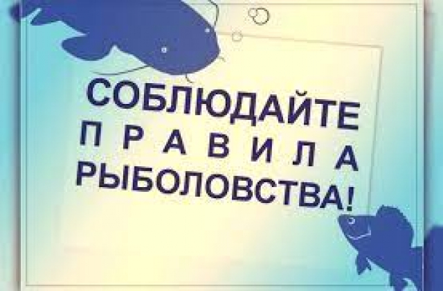 Ружан информируют: правила рыболовства размещены на официальном сайте Росрыболовства
