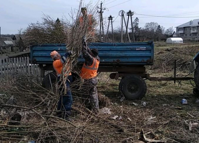 В Рузском округе проводят опиловку деревьев