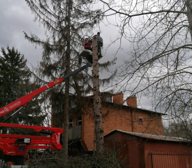 В Рузском округе приводят в порядок деревья и кусты