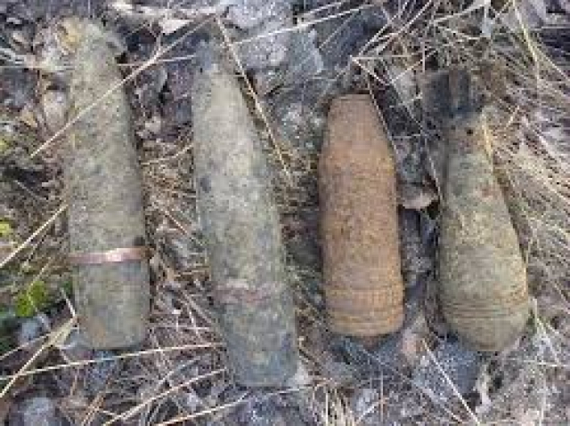 В Рузском округе обнаружены боеприпасы