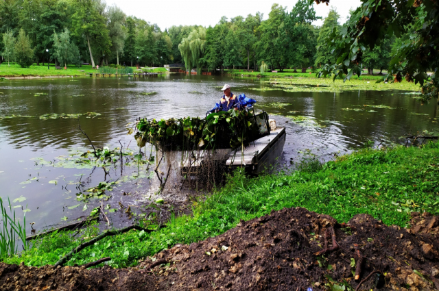Чистые озера и пруды будут радовать жителей и гостей Подмосковья