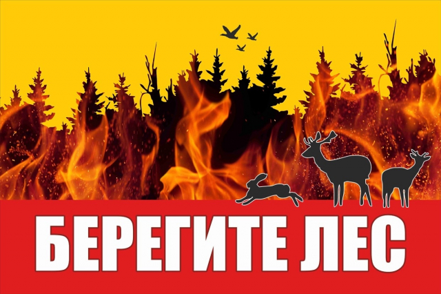 Ружан призывают соблюдать правила противопожарной безопасности в лесу