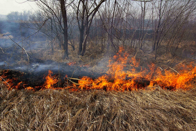 Ружан предупреждают об ответственности за неосторожное обращение с огнем