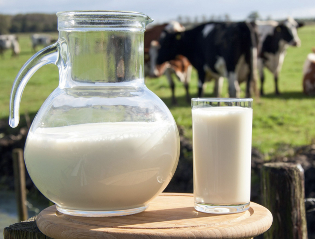 Министерство сельского хозяйства информирует ружан о VII Международном молочном бизнес-форуме