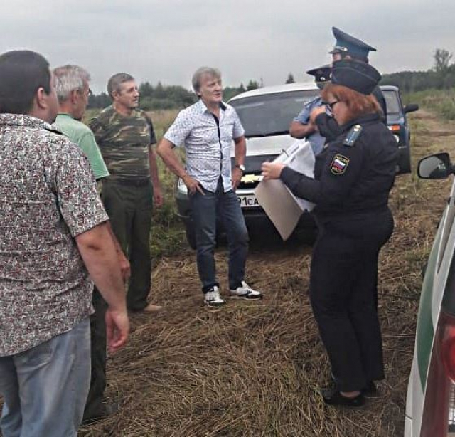 В Рузском округе привлекли к ответственности за рубку леса акционерное общество