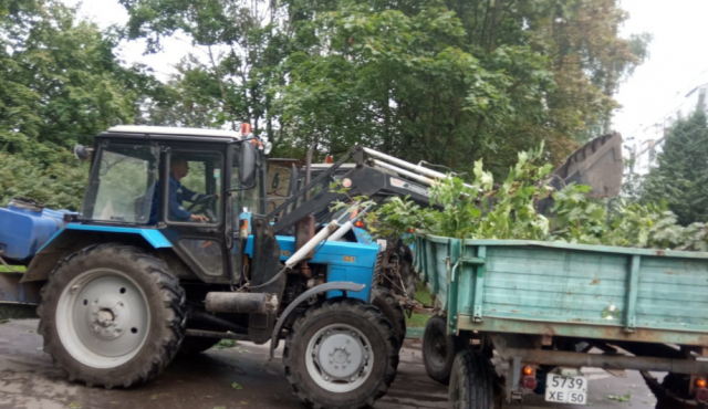 В Рузском округе продолжают обрезать деревья