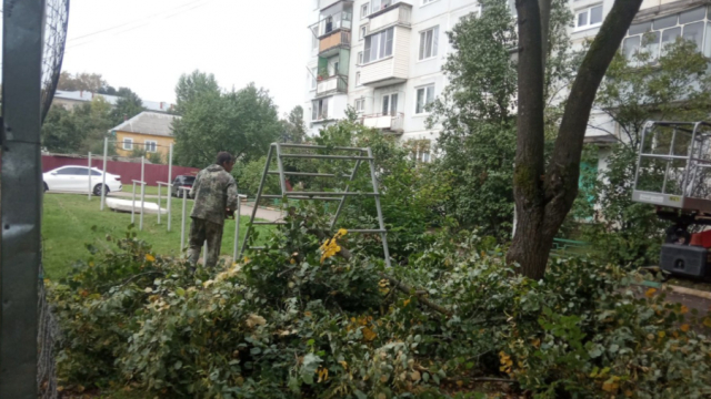 В Рузском городском округе обрезают деревья