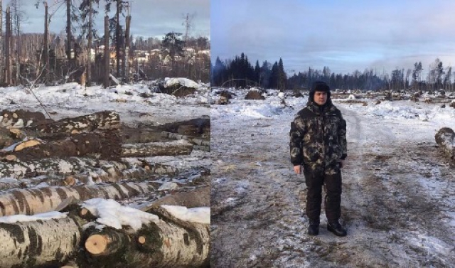 Максим Тарханов провел инспекцию лесовосстановительных работ