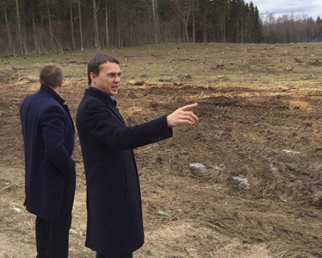 В рамках акции «Лес Победы» в Рузском округе восстановят лес, пораженный жуком-короедом