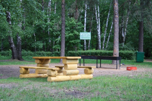 В лесах Московской области обустраивается свыше 1300 «пикниковых зон»