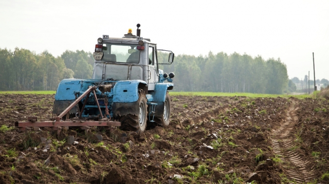 Сельхозпредприятия Рузского округа потеряли 5 млн рублей из‑за непогоды