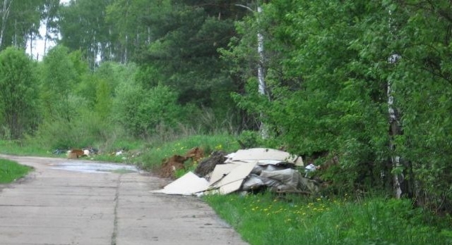 Госадмтехнадзор выявил 41 навал мусора на землях лесфонда