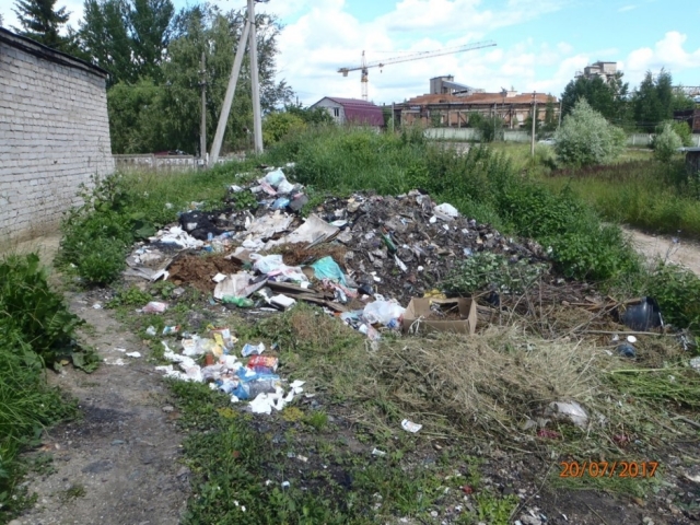 Муниципалитеты Солнечногорского района «отличились» количеством выявленного мусора