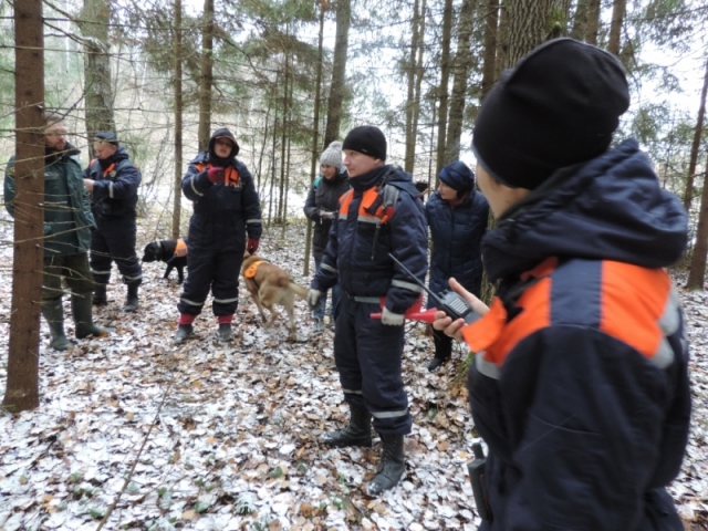 С начала 2017 года в лесах Московской области:  спасено почти 900 человек