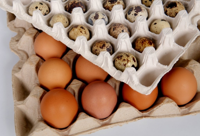 Предприятие по производству яичной упаковки в Рузском городском округе планирует увеличить мощности