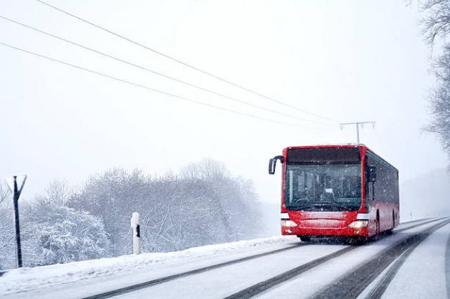 17 новых автобусов поступило в Рузский городской округ в прошлом году