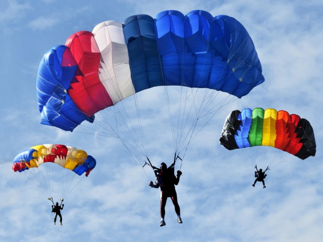 Учебно-тренировочные сборы по групповой парашютной акробатике пройдут в Рузском районе