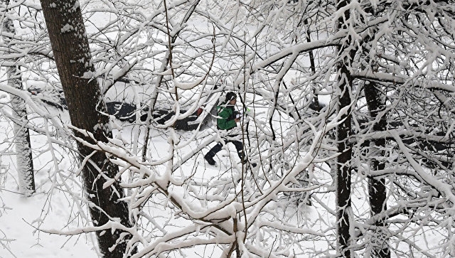 Часть Рузского округа Подмосковья осталась без света из-за снегопада - РИА Новости