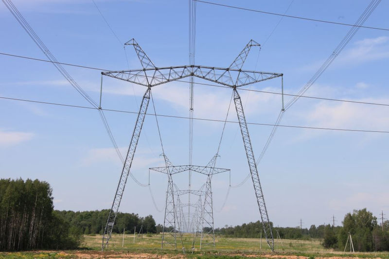 «Россети ФСК ЕЭС» расчистила более 1,8 тысячи гектаров трасс линий электропередачи в Подмосковье
