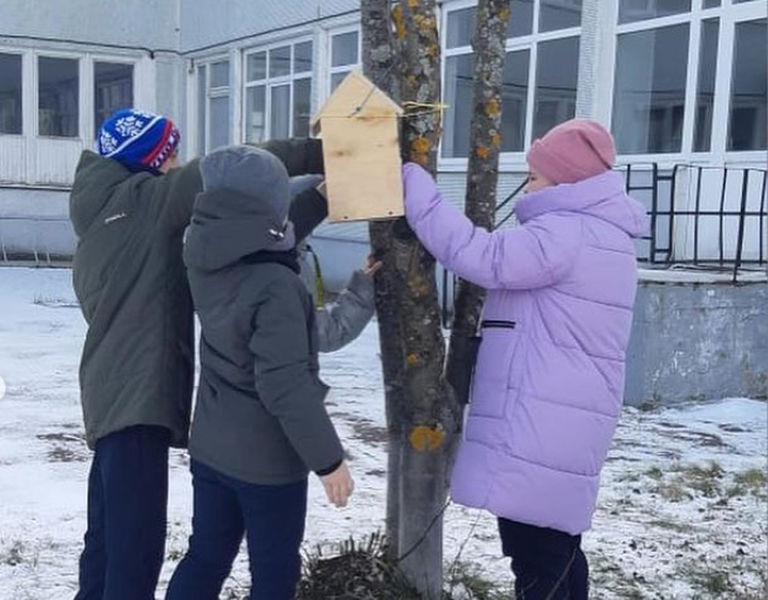 Колюбакинские школьники заботятся о птицах