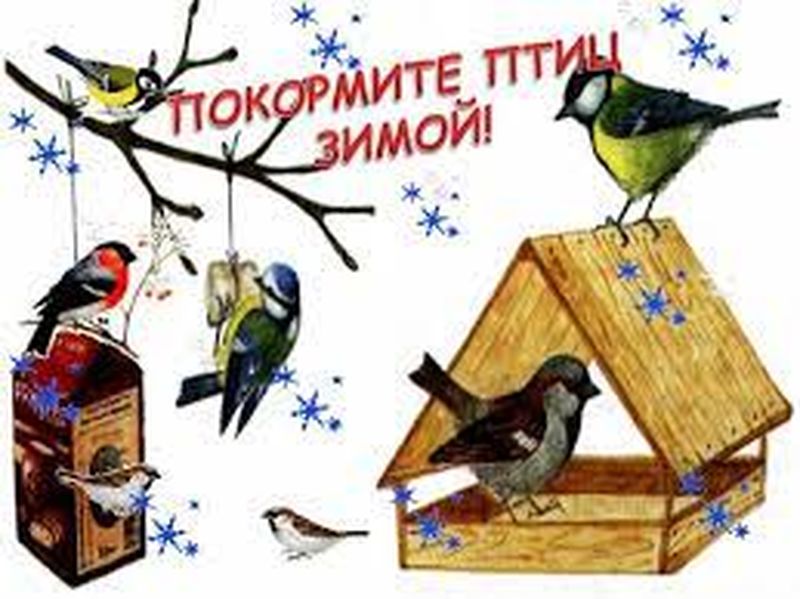 Ружанам – об экологической акции