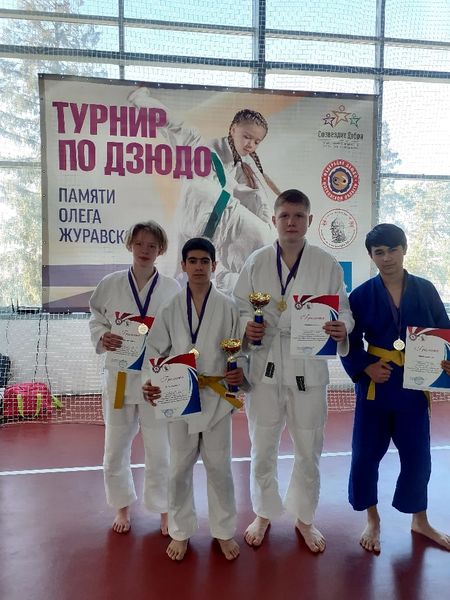 Рузские спортсмены завоевали медали
