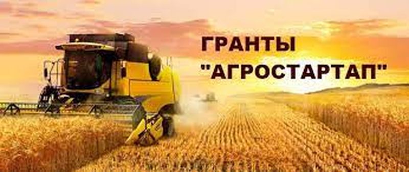 В Московской области объявлен приём документов на конкурс по отбору проектов «Агростартап»