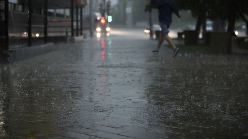 Минтранс Подмосковья предупредил о сильном дожде в регионе