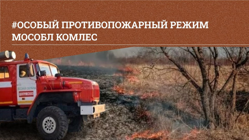 На территории Подмосковья введен особый противопожарный режим