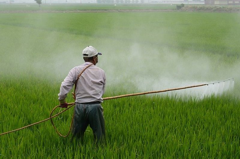 Ружан информируют о приеме заявок на включение в перечень хозяйствующих объектов, осуществляющих обращение пестицидов и агрохимикатов