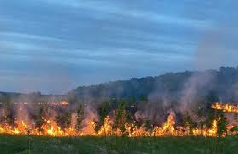 Ружанам – о профилактике возгораний на землях сельхозназначения