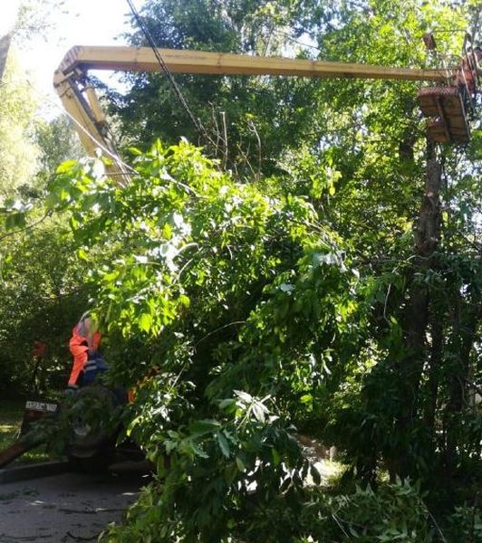 В Рузском округе обрезают деревья 