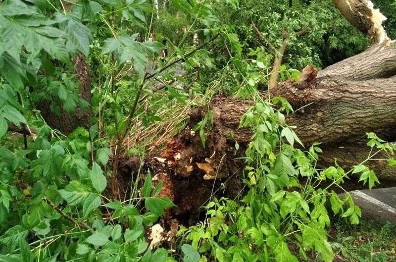В Рузском округе непогода повредила линии электропередачи