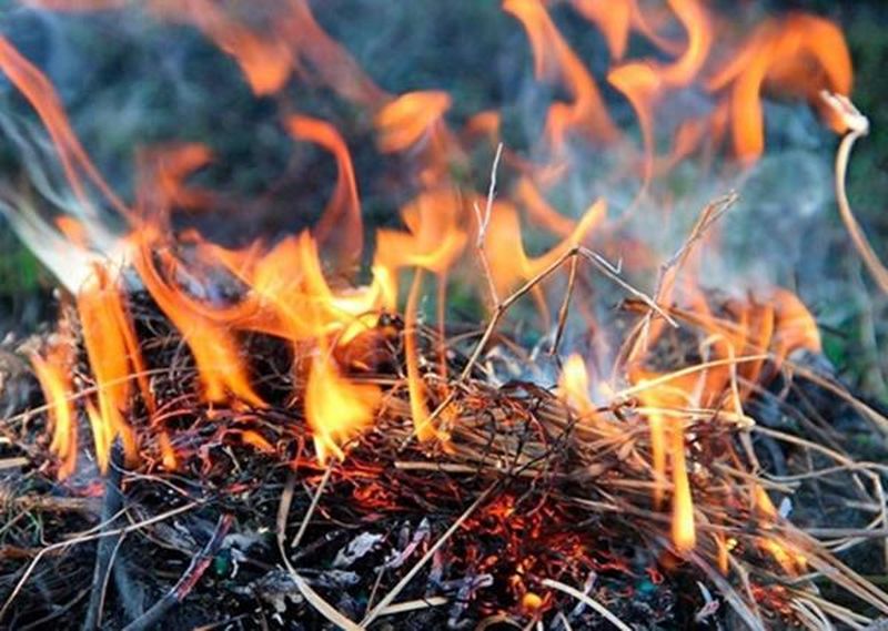 Внимание: опасность возникновения пожаров в Рузском округе