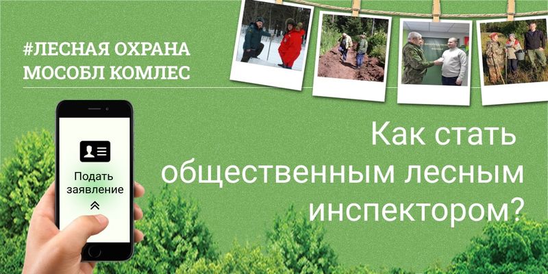 Ружанам сообщают, как стать общественным лесным инспектором