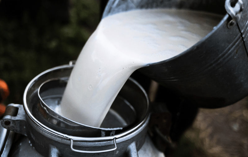 Подмосковные фермеры смогут бесплатно проводить лабораторные исследования молока
