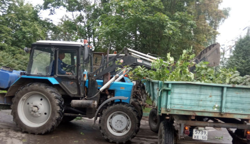 В Рузском округе проводят опиловку деревьев 
