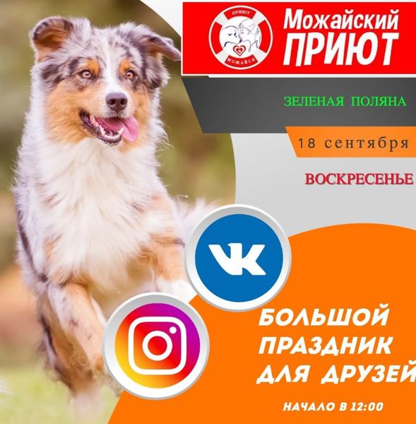 Ружан приглашают в Можайский приют