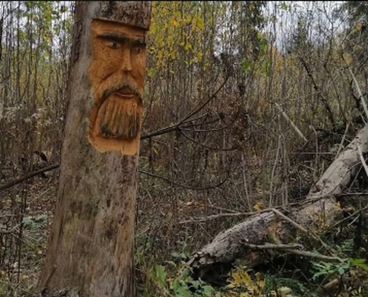 Рузские долголеты – в гостях у Александра Цепкова