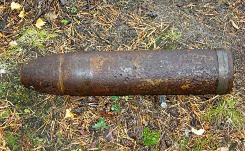 Найденные в Рузском округе снаряды уничтожены