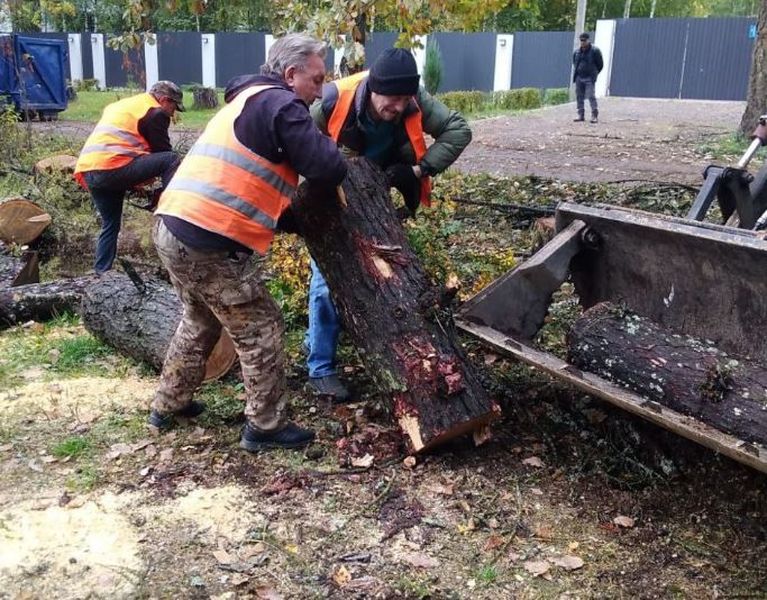 В Рузском округе кронируют деревья 