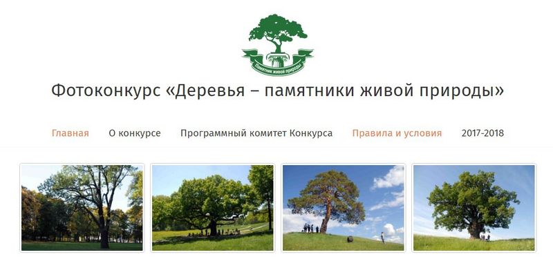 Жителям Рузского городского округа – о Всероссийском конкурсе «Деревья – памятники живой природы»