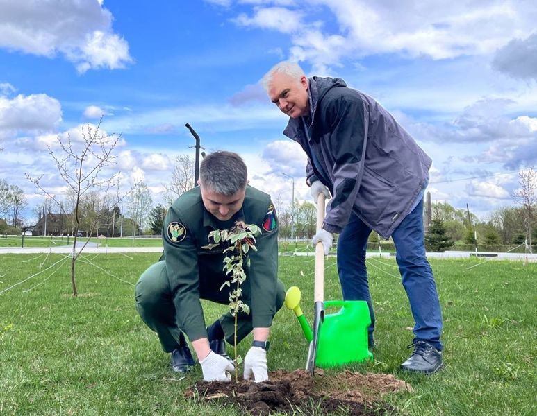 Памятные клены высадили на территории музея «ЗОЯ»