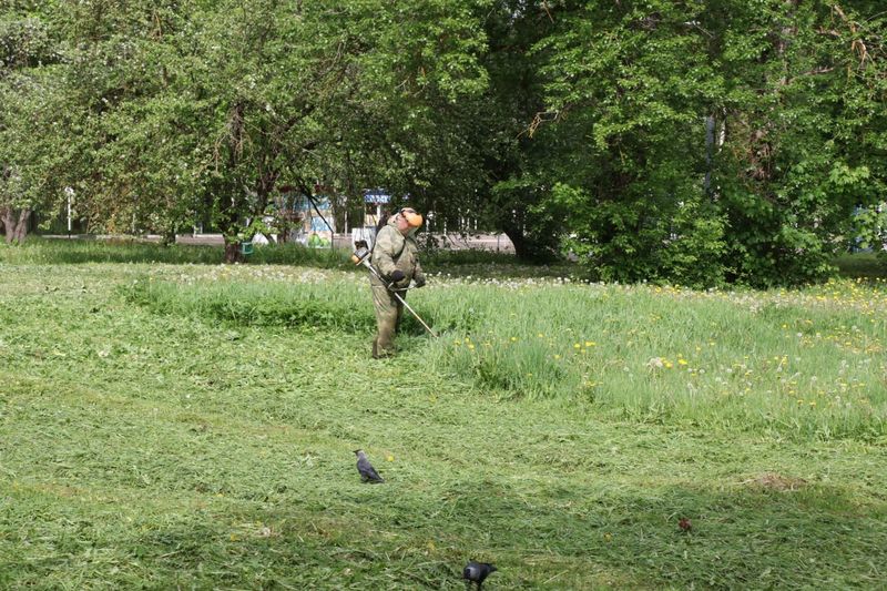 В Рузском округе косят траву на общественных территориях