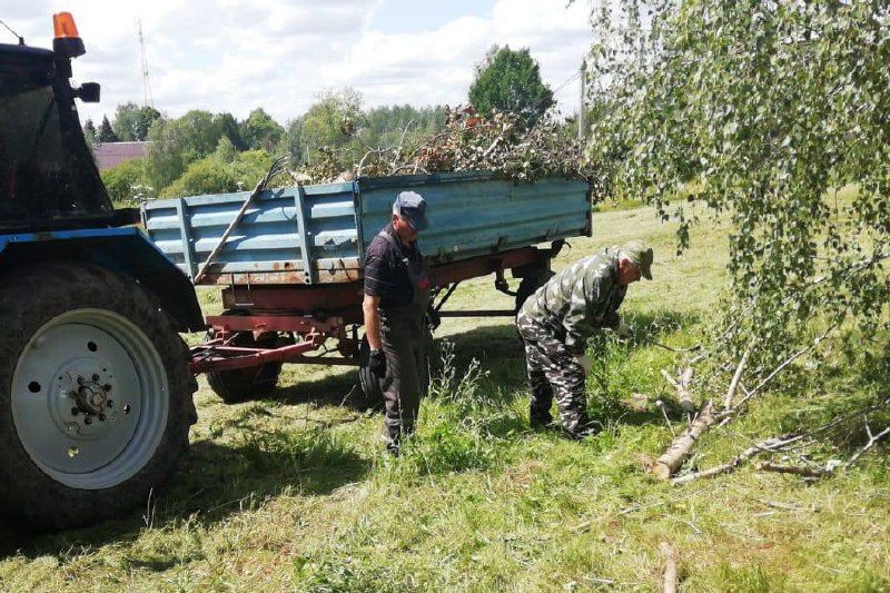 В Рузском округе вывозят порубочные остатки