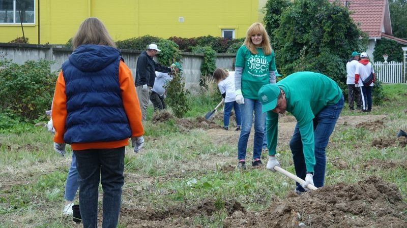 Жители Рузского округа приняли участие в областной экологической акции