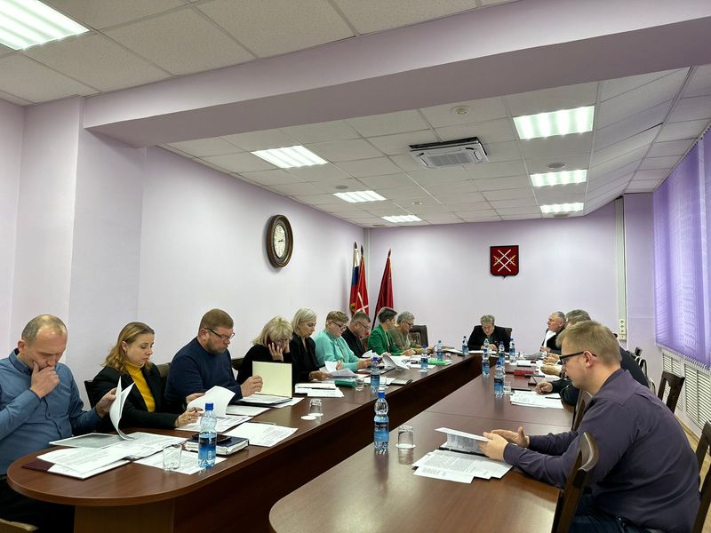 Председатель КСП выступила на заседании комиссии Совета депутатов