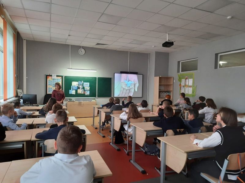 Тучковским школьникам – о символизме белых журавлей