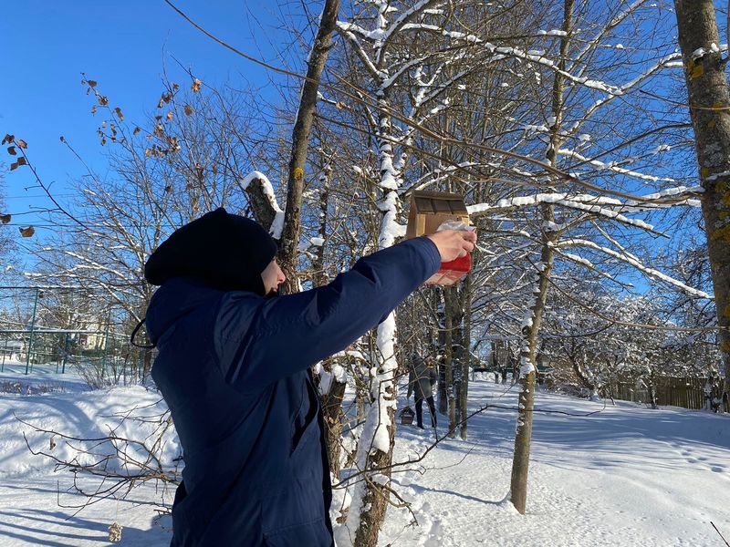 Рузские школьники помогают птицам выжить в холода